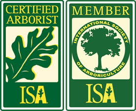 ISA Certified Arborist and Member Atlanta Georgia